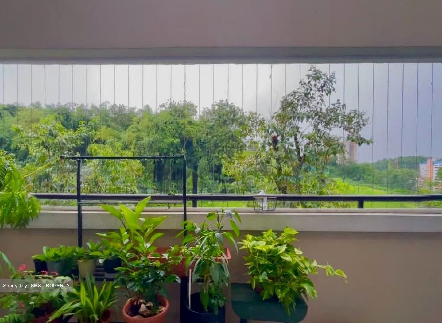 Blk 535 Bukit Batok Street 52 (Bukit Batok), HDB Executive #574070451